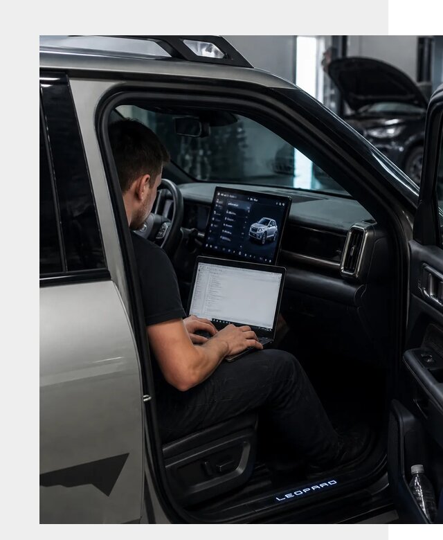 Русификация BYD Leopard 3 в Ивантеевке по цене от 20471 р. | ФастМобиль-Внт